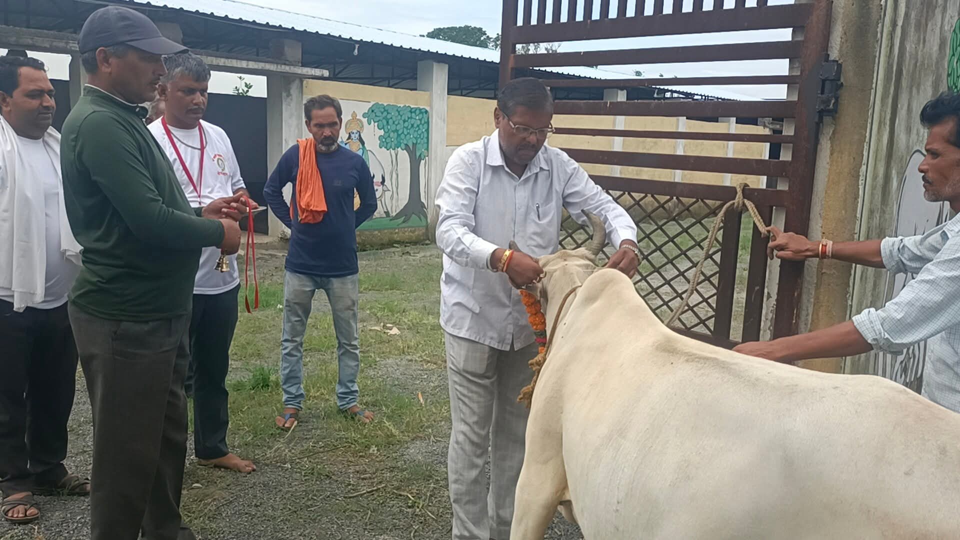 सेवा कार्य