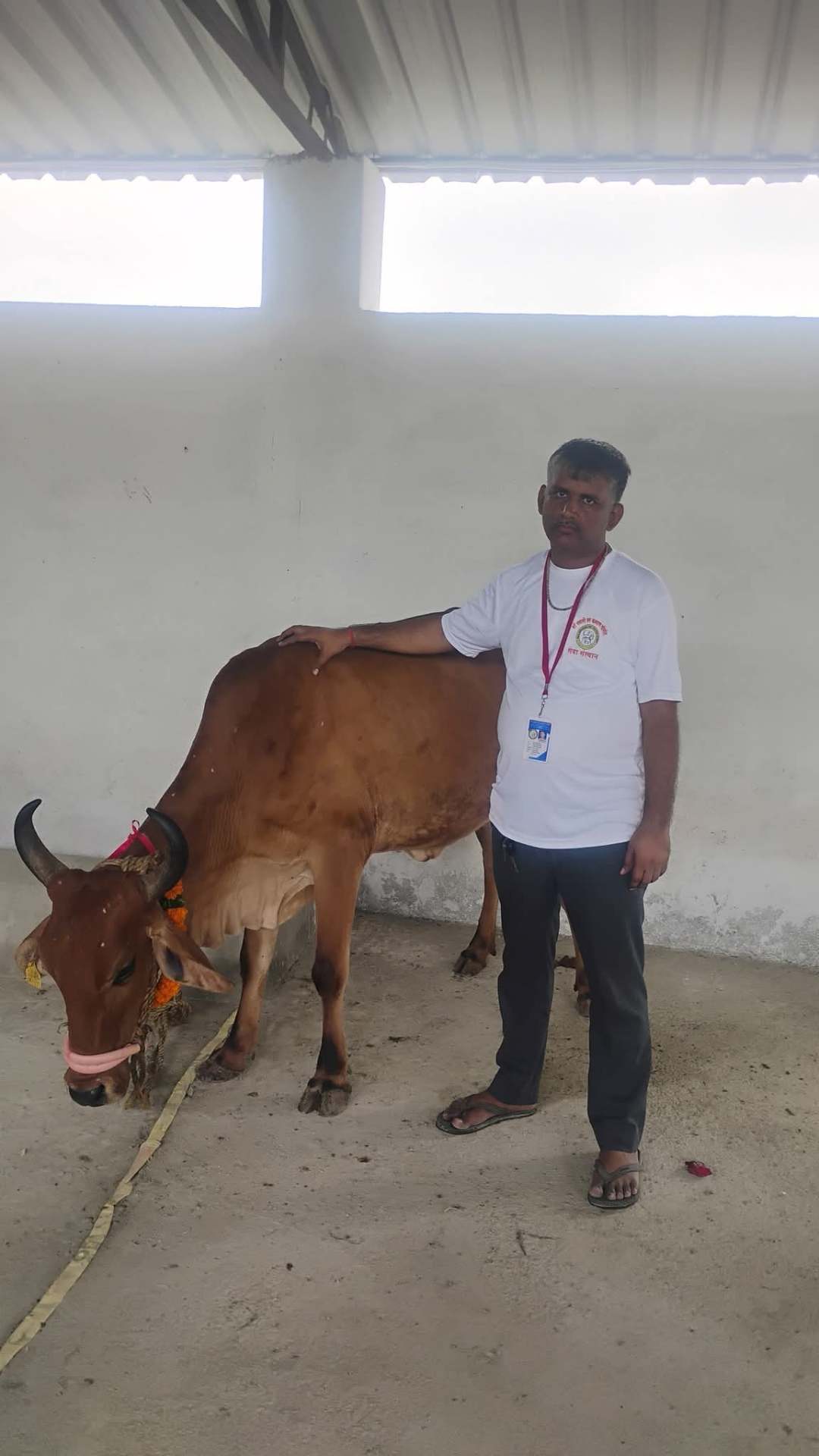 गौसेवा संकल्प